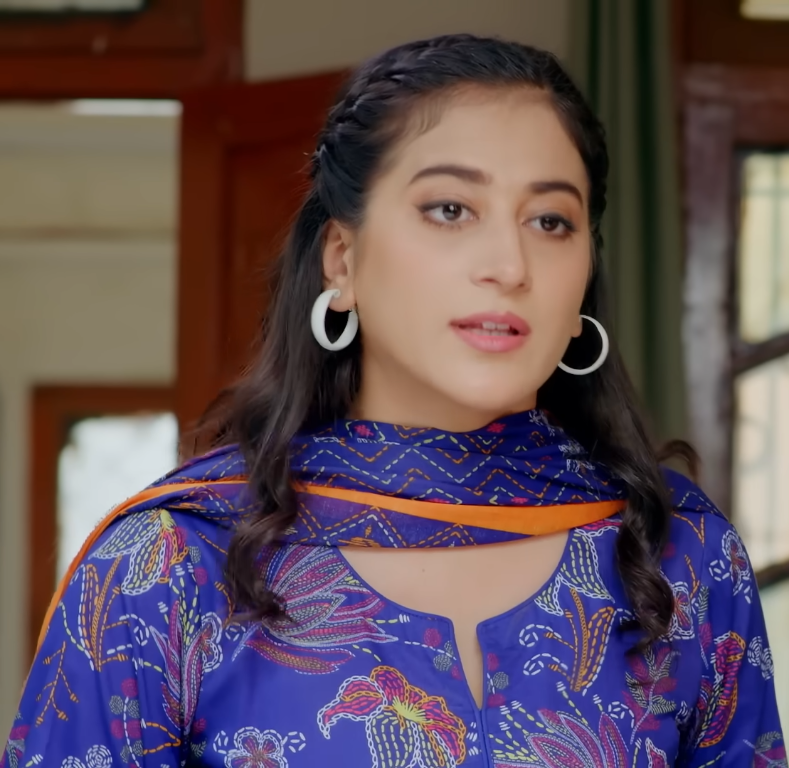 Pehli Mohabbat Review