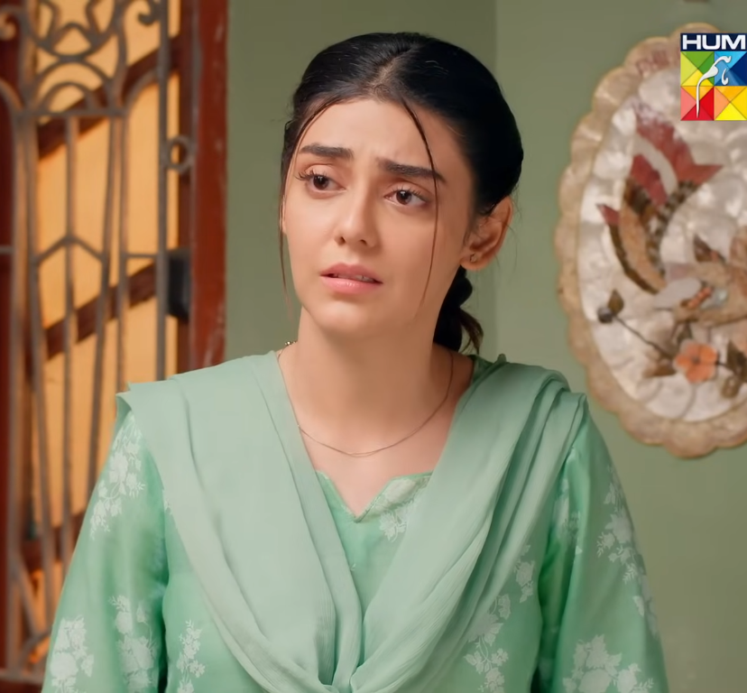 Pehli Mohabbat Review