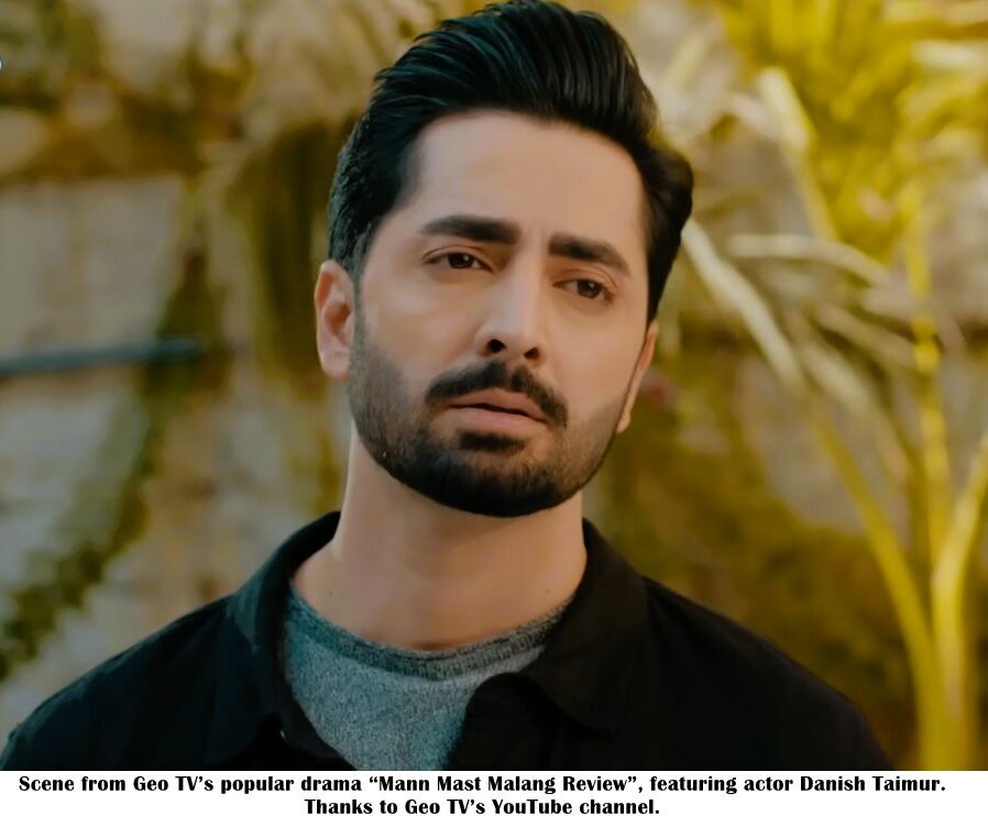 Danish Taimur Biography