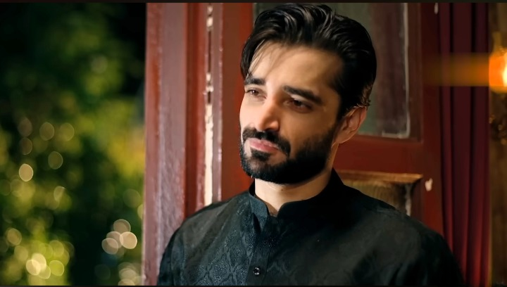 Hamza Ali Abbasi Biography