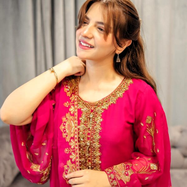 Dananeer Mobeen Biography