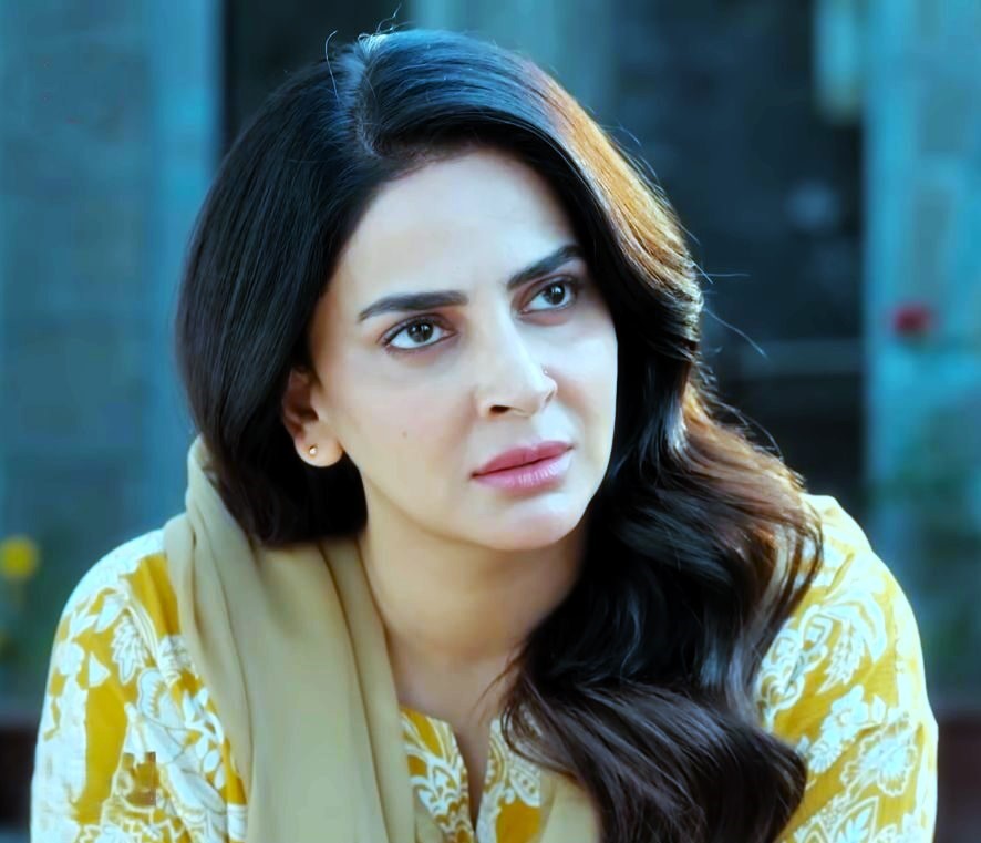 Saba Qamar Life Style